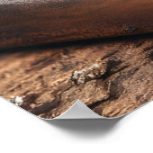 Poster Burger Picanha brésilien 24x36 (Coin)