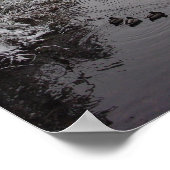 Poster Burnaby's Central Park : Demi-gelé Lower Pond (Coin)