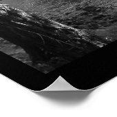 Poster Burney tombe à travers les arbres avec la frontièr (Coin)