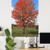 Poster Burning red maple tree in the fall (Bureau à domicile)