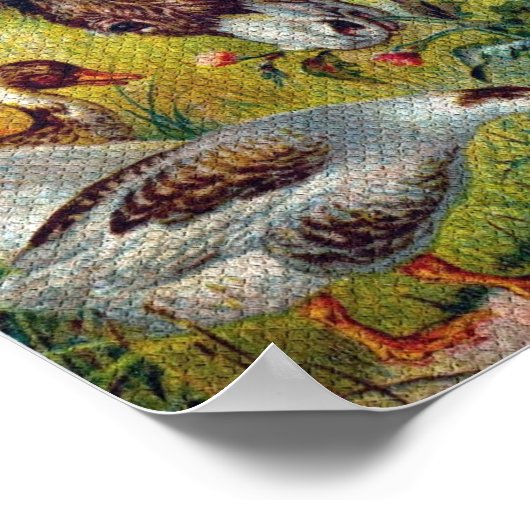 Poster Burro and Geese (Coin)