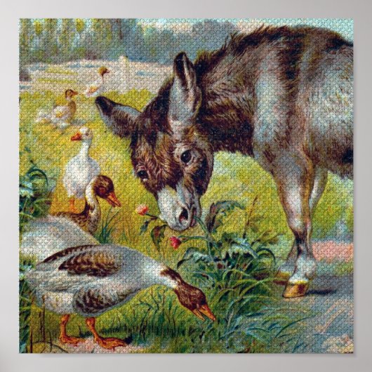Poster Burro and Geese (Devant)