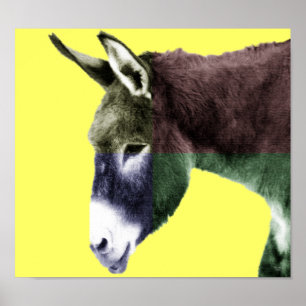 Poster Burro de beaucoup de couleurs