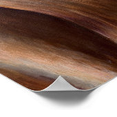 Poster Burro du désert (Coin)