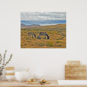 Poster Burros sauvages du canyon de Red Rock (Cuisine)