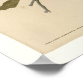 Poster Buse à ailes larges (Coin)