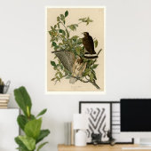 Poster Buse à ailes larges (Bureau à domicile)