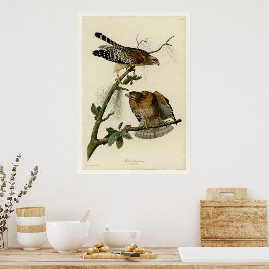 Poster Buse à épaules rouges (Cuisine)