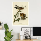 Poster Buse à épaules rouges (Bureau à domicile)