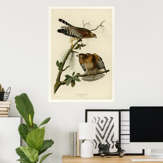 Poster Buse à épaules rouges (Bureau à domicile)