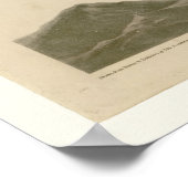 Poster Buse à queue rouge (Coin)