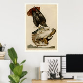 Poster Buse à queue rouge (Bureau à domicile)