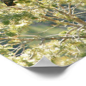 Poster Buse à queue rouge (Coin)