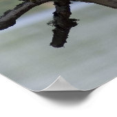 Poster Buse à queue rouge (Coin)