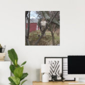 Poster Buse à queue rouge dans l'arbre (Bureau à domicile)