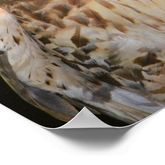 Poster Buse artisanale (Coin)