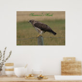 Poster Buse de Swainson E10 (Cuisine)