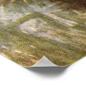 Poster Buse des marais (Coin)