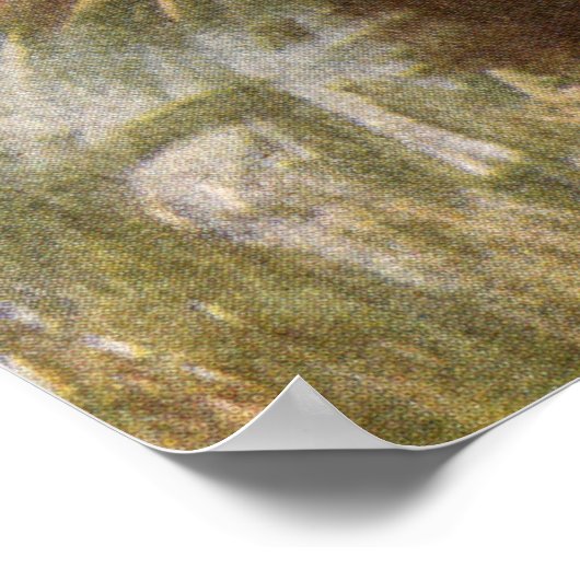 Poster Buse des marais (Coin)