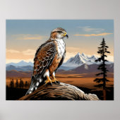 Poster Buse rouilleuse perchée dans la roche (Devant)