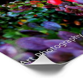 Poster Bush complexe (Coin)