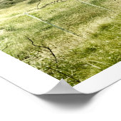 Poster Bush et la clôture (Coin)