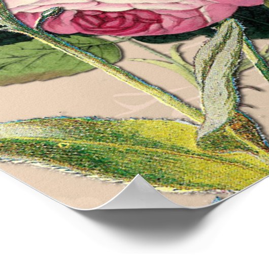 Poster Bush Garden Green Rose douce (Coin)