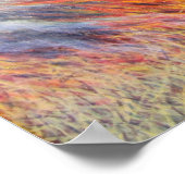 Poster Bushfire Inferno 2014 (Coin)