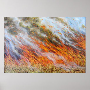 Poster Bushfire Inferno 2014