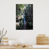 Poster Bushkill Falls in the Poconos. imprimer 0206 (Cuisine)