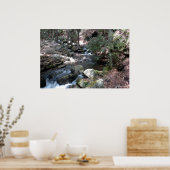 Poster Bushkill River in the Poconos. imprimer 0086 (Cuisine)