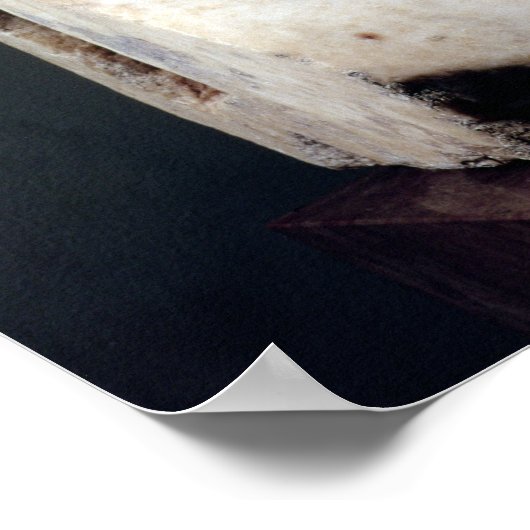 Poster Bust of Pericles copie d'un original grec (Coin)