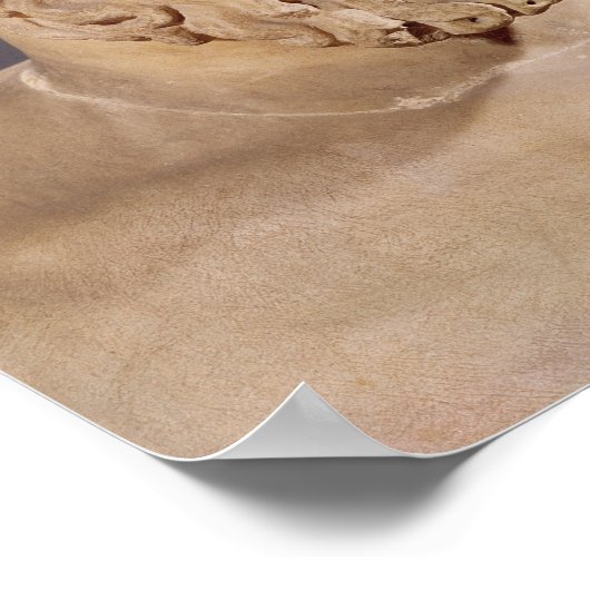 Poster Buste d'Aeschylus (Coin)