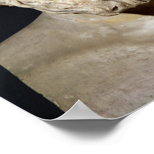 Poster Buste d'Antisthène (Coin)