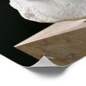 Poster Buste de Cléopâtre II ou de sa fille (Coin)