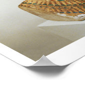 Poster Buste de la reine Nefertiti, du studio de la sc (Coin)