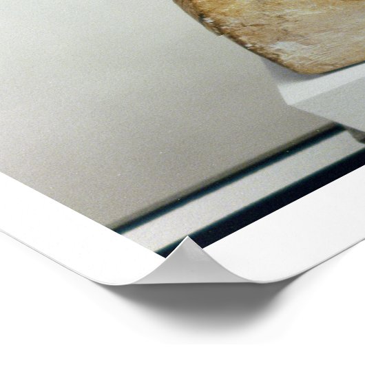 Poster Buste de la reine Nefertiti, vue latérale, de l'st (Coin)