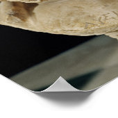 Poster Buste de Lysias (Coin)