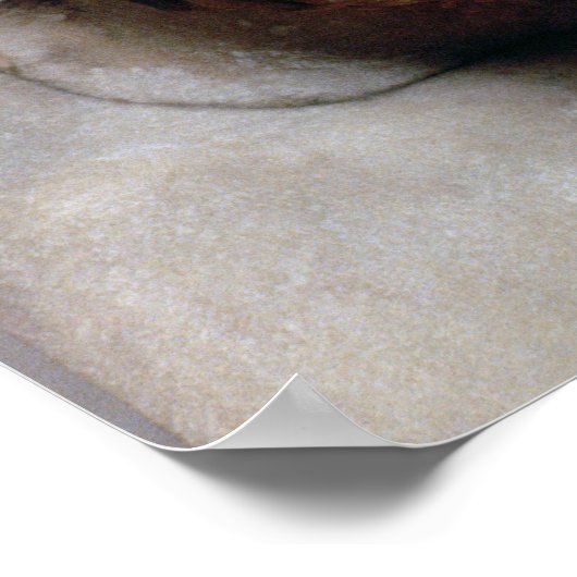 Poster Buste de portrait de Sophocles (Coin)