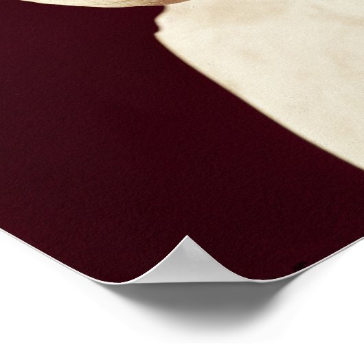 Poster Buste de Seneca (Coin)