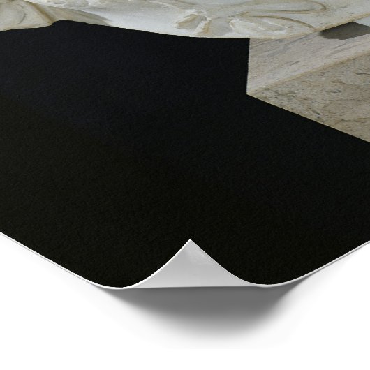 Poster Buste de Septimus Severus (Coin)