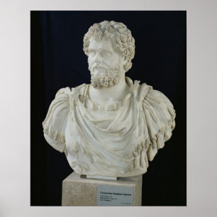 Poster Buste de Septimus Severus