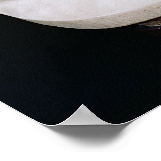 Poster Buste de Voltaire sans sa perruque, 1778 (Coin)