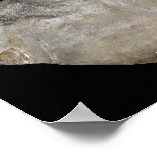 Poster Buste d'Hercules (Coin)