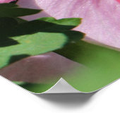Poster Busy Be Collection Pollen in a Hibiscus (Coin)