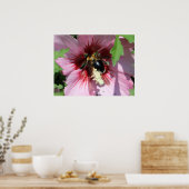 Poster Busy Be Collection Pollen in a Hibiscus (Cuisine)