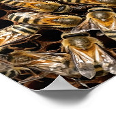 Poster Busy Bees (Coin)