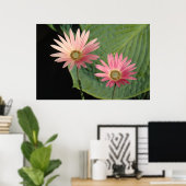 Poster Bute Park, Cardiff, Pays de Galles (Bureau à domicile)