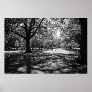 Poster Bute Park en été après-midi. Cardiff, Pays de Gall