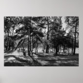 Poster Bute Park en été après-midi. Cardiff, Pays de Gall (Devant)